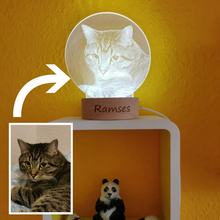 Load image into Gallery viewer, 3D Custom Memorial Night Lamp
