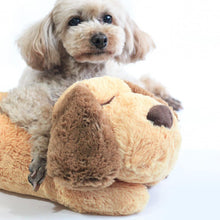 Load image into Gallery viewer, Paradise for Pets - Snuggle Pet Relief Toy
